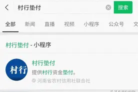 详细介绍“村行垫付”小程序操作步骤和操作中遇到的问题图片