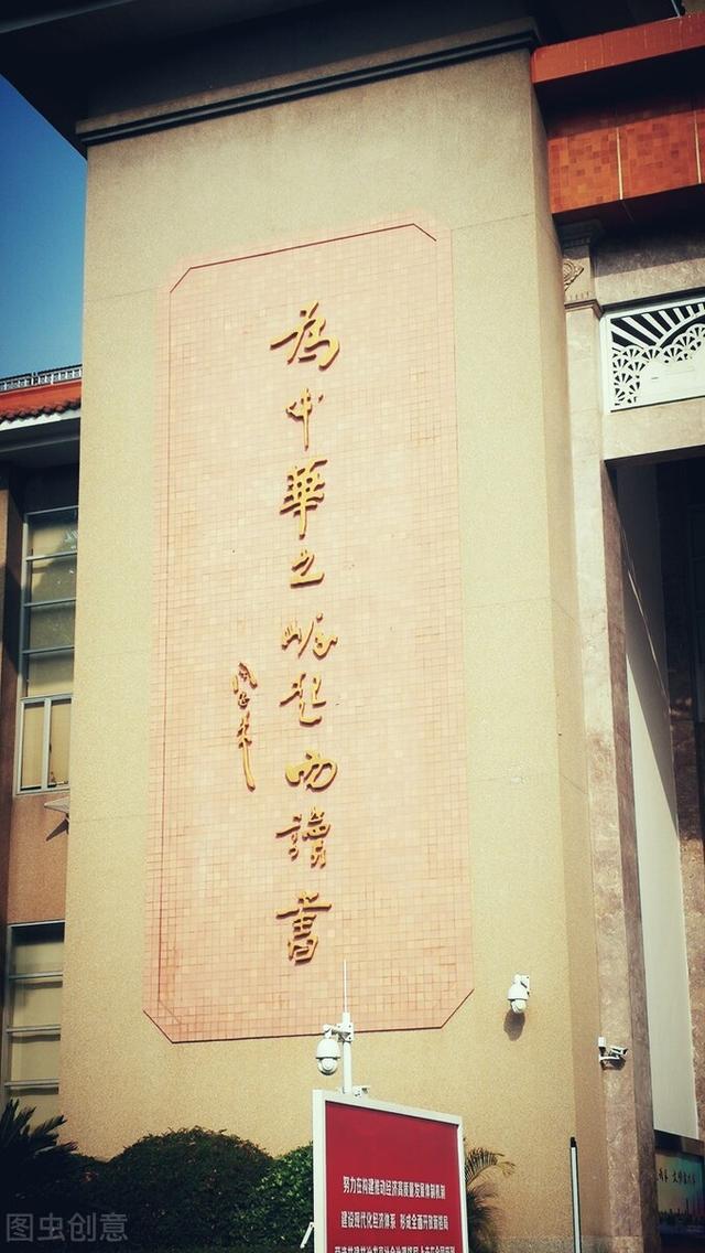 成长回眸