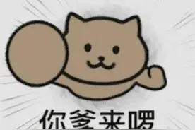 猫猫飞天人动图GIF合集图片