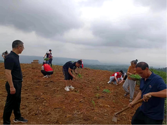 四川省民生研究会新媒体中心-官网