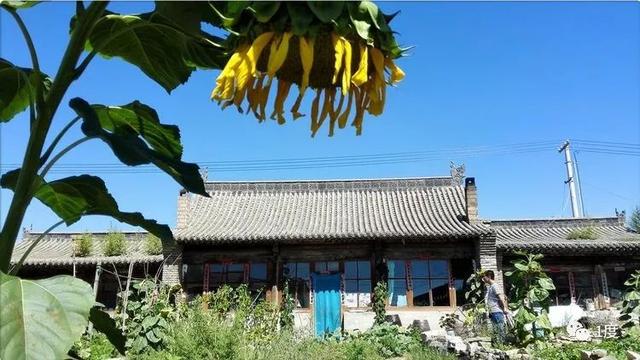 文章图片15
