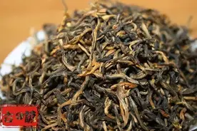 古谚丨您真的认识英红九号吗?图片
