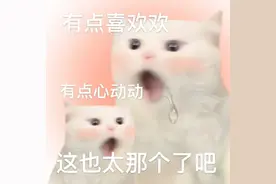晕！520这天，我家公猫居然跟另一只公猫OOXX图片
