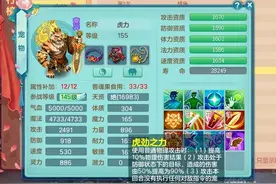 虎力不如破碎伤害高？神武最硬的清盾宠，虎力高端局打书思路图片