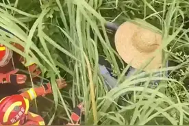 安徽铜陵 男子野钓归途误入芦苇丛迷路，无奈报警求助图片