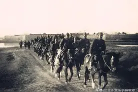 二战伙食篇41：日军的军马、军犬、军鸽都吃什么？图片