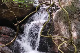 在东莞不可错过的好玩地方图片