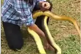 2006年,35岁东北女子与蛇同居15年,家中变蛇窝,每晚与蛇同床共枕图片