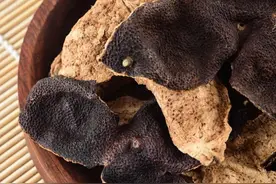 陈皮是密封好还是透气好？图片