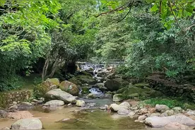 罗浮山酥寥溯溪遛娃一日游图片