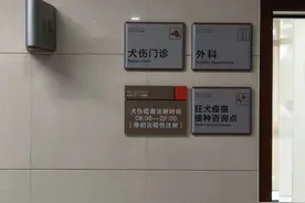 22岁空姐上嘴唇被宠物狗咬掉一块肉！杭州一医院犬伤门诊半天接诊100多个患者图片