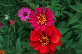 身处低谷：自愈，自律，自省图片