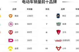 浅谈两轮电动车前十品牌优缺点图片