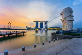 2022新加坡电子签证常见问题汇总图片