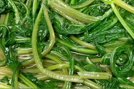 水萝卜很多人只吃根茎，其实“叶子”才是宝，现在正当季，别错过图片