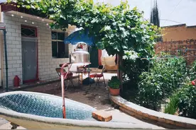 院里种葡萄树不好吗？为何越来越多的人把葡萄树拉入“黑名单”？图片