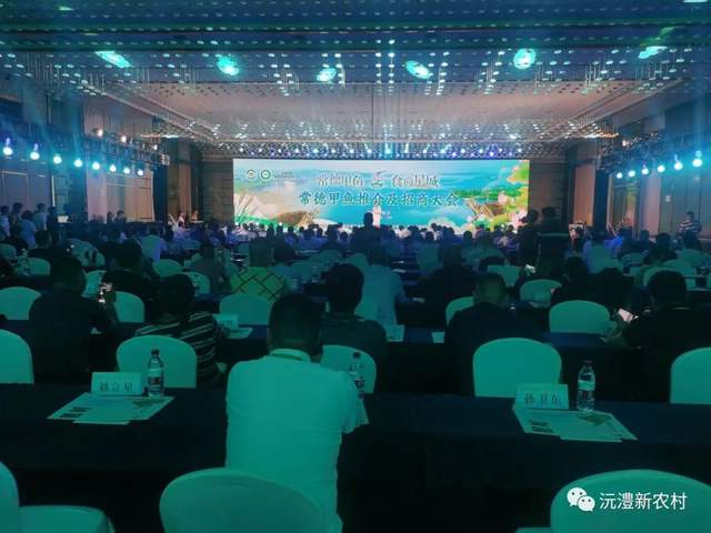 【寻味常德】从一钵常德甲鱼说起(图12)