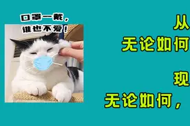 孩子经常打喷嚏，可能是一种过敏？图片