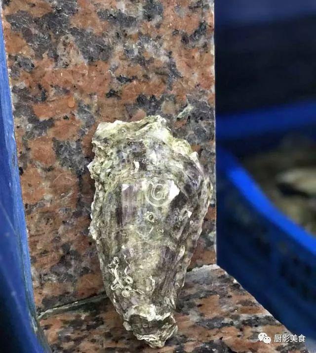 40头的花胶是几级 2025年花胶40头是什么意思?