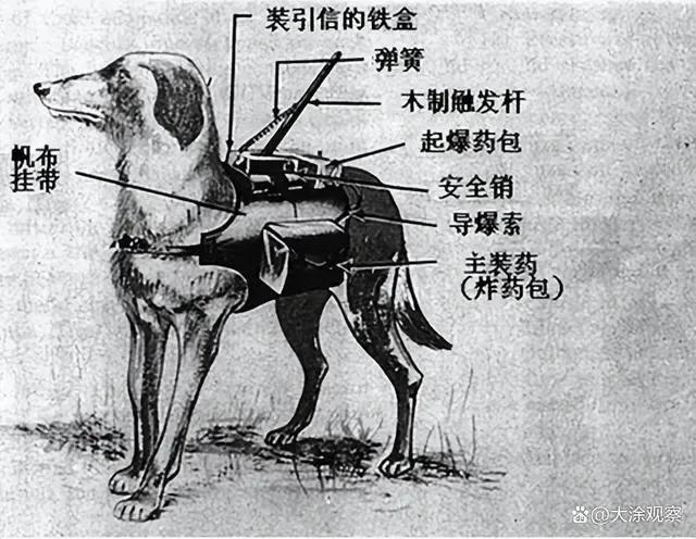 1939年日军“狼狗部队”无人可挡，董翰良猛拍大腿：怎么把它忘了