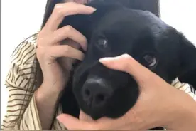 「爆笑GIF」GIF动图搞笑表情包，趣味搞怪幽默，值得一看图片