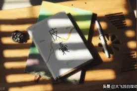 《皮囊》*蔡崇达图片