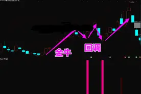 【金牛回调】牛回头神器选股指标图片
