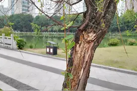 故事课笔记1图片