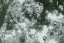 中国银行私人银行十五周年再起新程图片