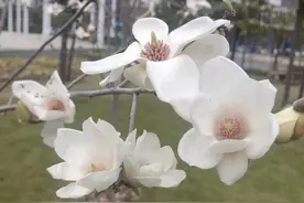 你没懂的上古文明.周易32恒/亨，无咎，利贞。图片