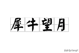 一天一成语：犀牛望月图片