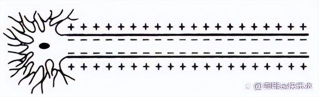 高中生物-人体内环境稳态的生理意义及调节