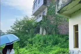 在江西山区农村有非常多的无人村，野草一人高，楼房废弃了图片