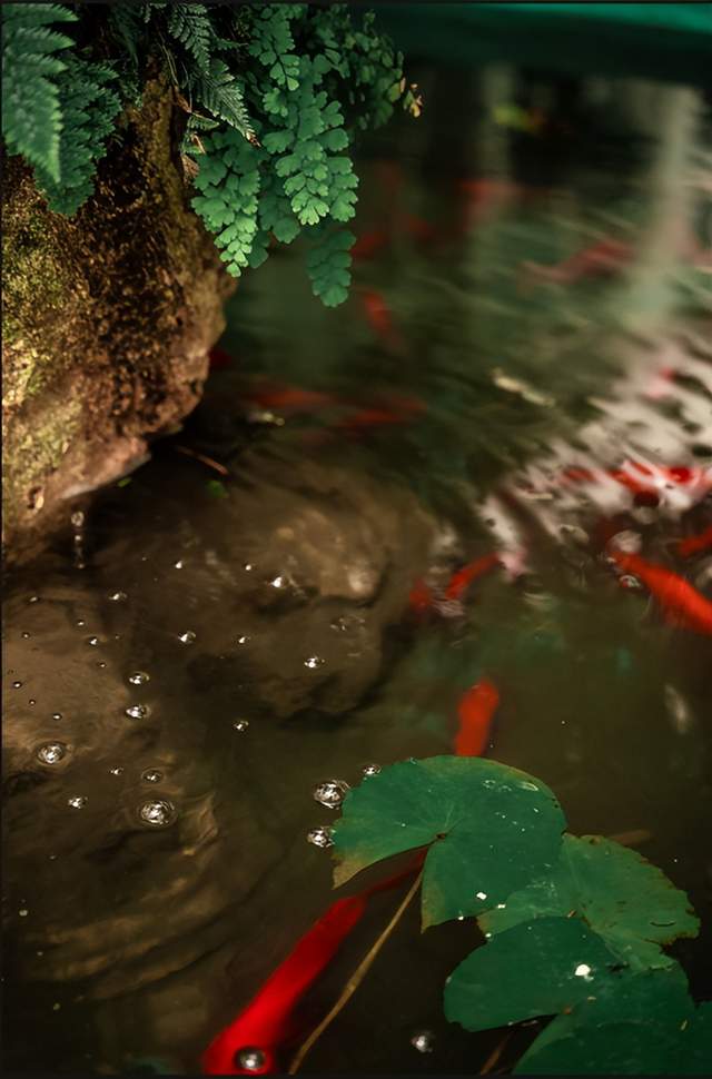 四川省民生研究会新媒体中心-官网