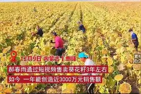 #内蒙古赤峰小伙带全村卖3千吨瓜子致富#带动乡亲共同富裕图片