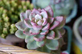 二叔在乡下开小四轮，帮人拉砖头、粮食、化肥，大钱没有小钱不断图片