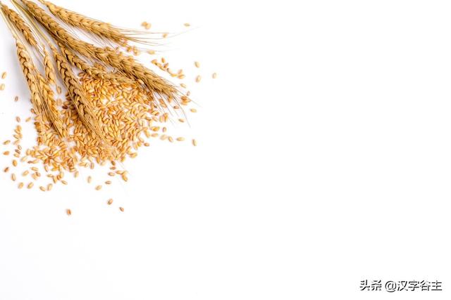 汉字节气：“芒种”也“忙”也“亡”，理解“芒”字思维表达