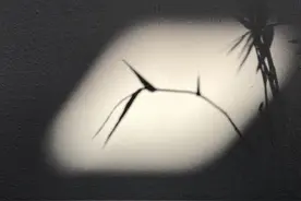 一封父亲写给女儿的信图片