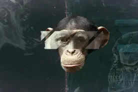 达尔文错了？螃蟹竟在地球上出现了5次，相同形式为何不断出现？图片