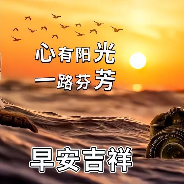 最经典短句祝福愿你每天,每天好心情早上好祝福语大全 - 冷求网