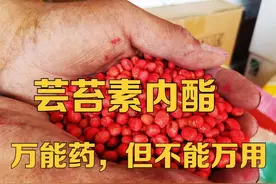 芸苔素号称是“万能药”，但遇到这5种情况，就该注意啦图片