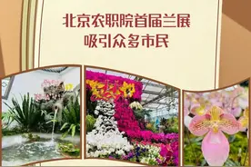 北京农职院首届兰展吸引众多市民图片