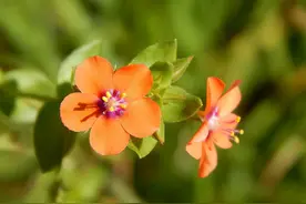 比睡觉更好的养生，不过2个字图片