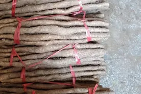 山药如何播种管理？图片