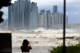 这些台风为何被除名？图片