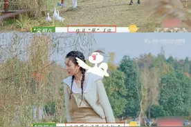 宋祖儿节目中被大鹅追击！慌忙逃窜五官乱飞，大声呼救没人理图片