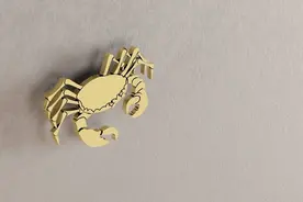 巨蟹座注定辜负的三大星座图片