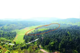 仅这个证据就可以断定贵州“空中怪车”是发达的地外文明所为吗？图片