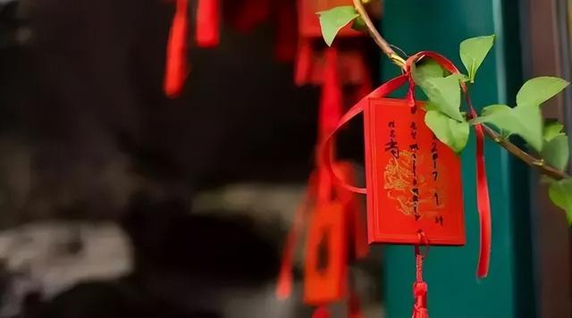 十年树木百年树人造句（30个常用俗语）