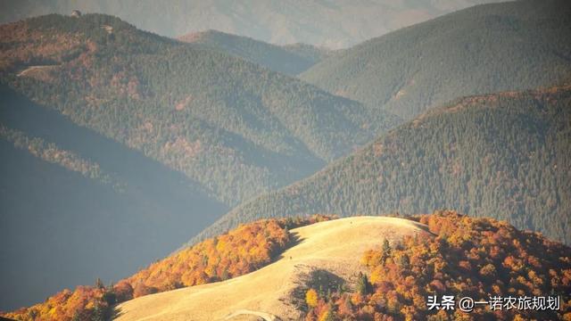 乡村振兴大赛道,8个创业方向,每一个领域都值得深耕